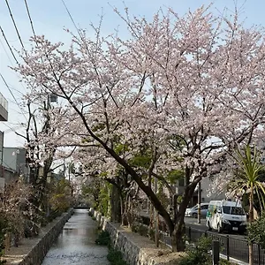 初音 京都市